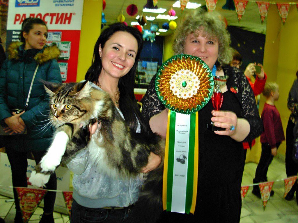 Международная выставка кошек г.Самара «ЗИМНЯЯ ВИШНЯ -2018»